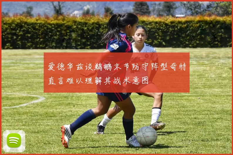 爱德华兹谈鹈鹕末节防守阵型奇特直言难以理解其战术意图