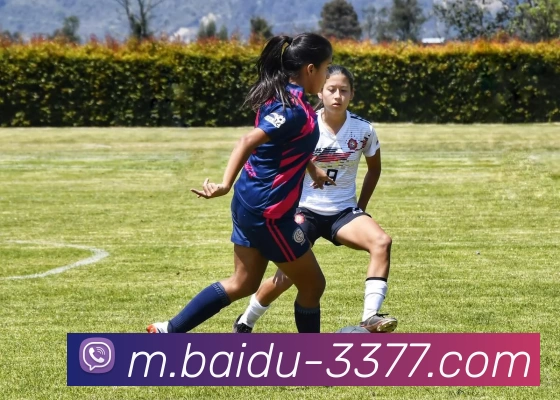 3377体育APP 封面图